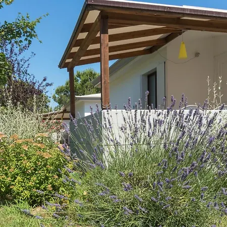 卡萨维奥露营酒店 卡瓦利诺