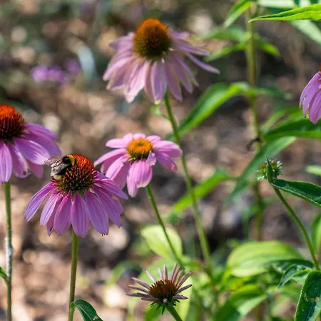 Ca' Savio Campingplatz