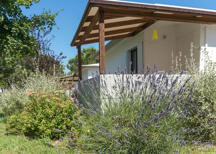 Ca' Savio Cavallino-Treporti